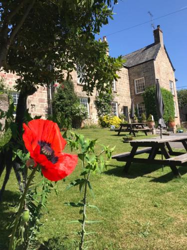 Whitchurch Bed & Breakfast | Norton House Bed & Breakfast & Cottages