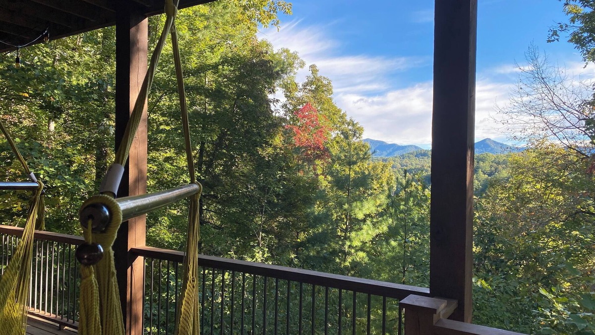 Clayton House | Nothing Short of Magic in Clayton with WiFi, AC