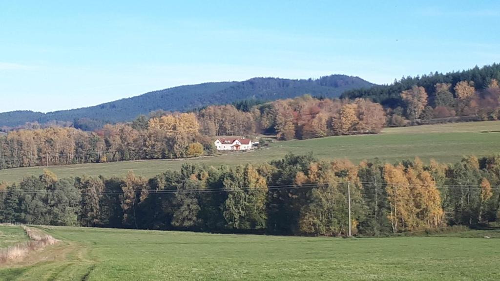 Benesov nad Cernou Apartment | Novohradky - Oáza klidu na samotě u lesa