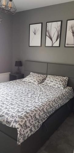 Gizycko Apartment | Nowoczesny apartament z dużym tarasem i widokiem na jezioro