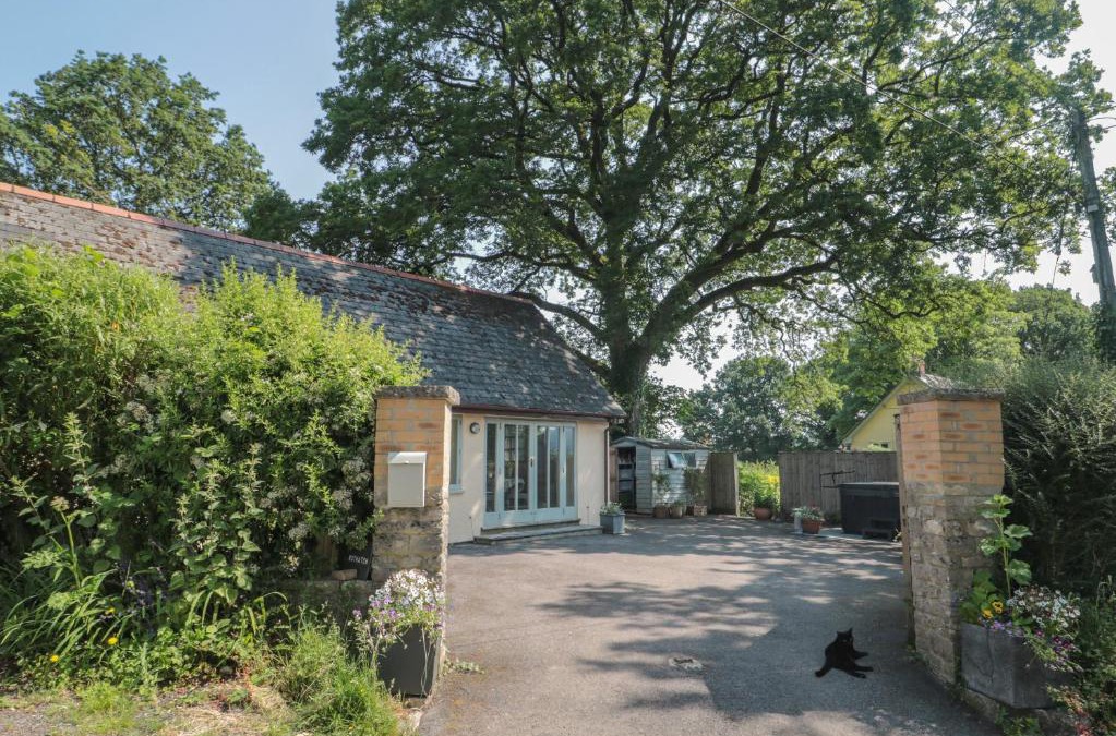 Honiton House | Nuthatch