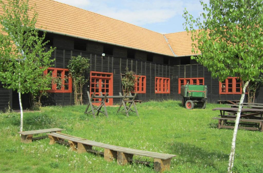 Sostogyogyfurdo Other | Nyírfaliget Lovaskemping és Turistaház