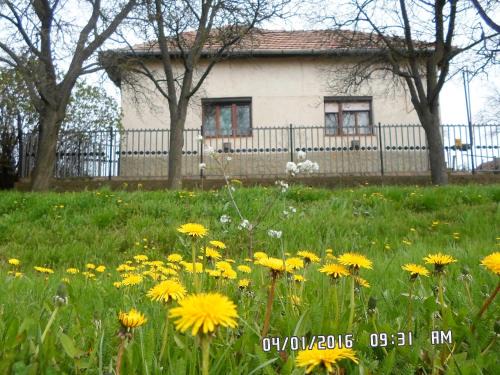 Tiszakurt House | Nyolc szilvafás ház