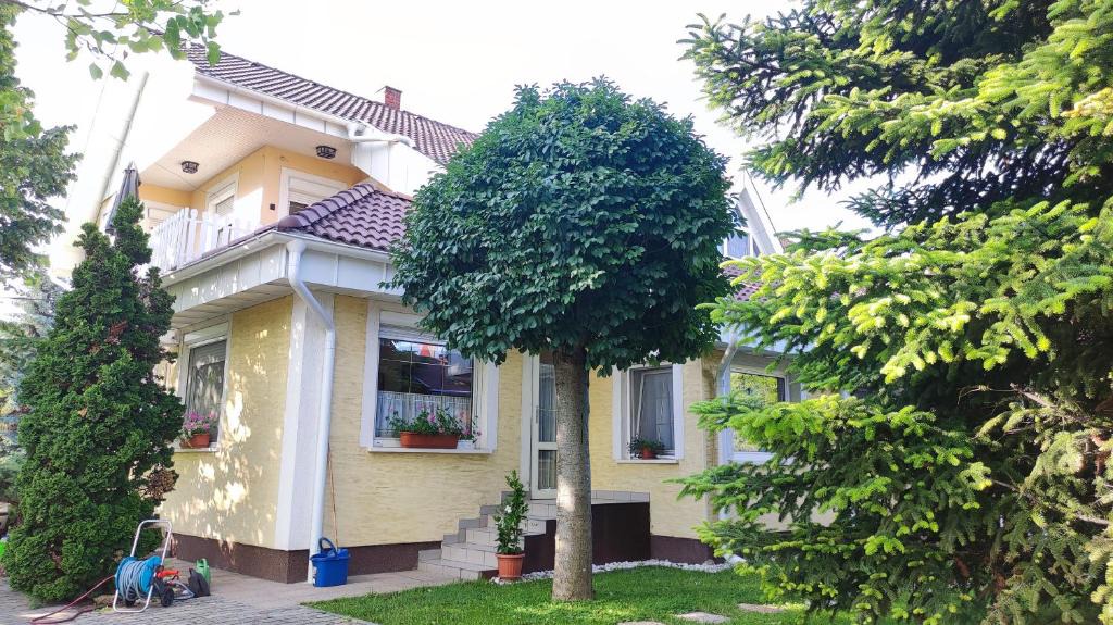 Szantod Apartment | Oázis Apartman