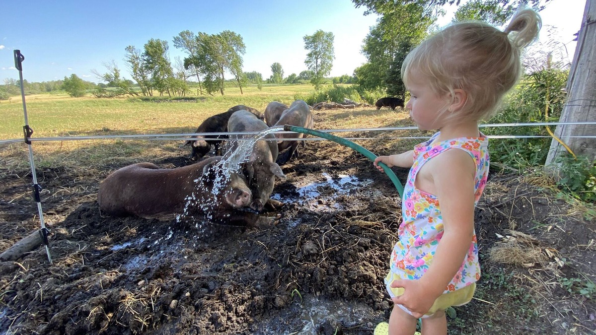 Stearns County House | O'Halloran House-Feathered Acres Learning Farm & Inn