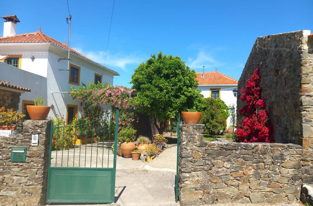 Vila de Rei Apartment | O Ninho do Rei