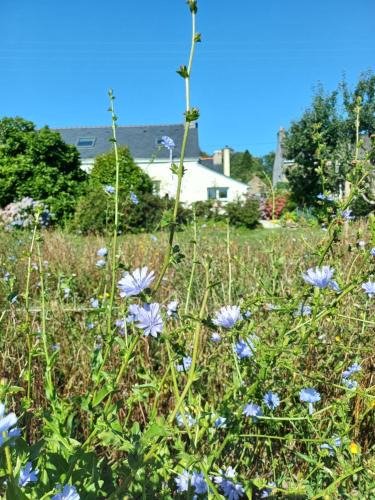 Scaer House | O'TY'ZOISEAUX - Plus proche de la nature - Meublé tourisme classé 4 étoiles