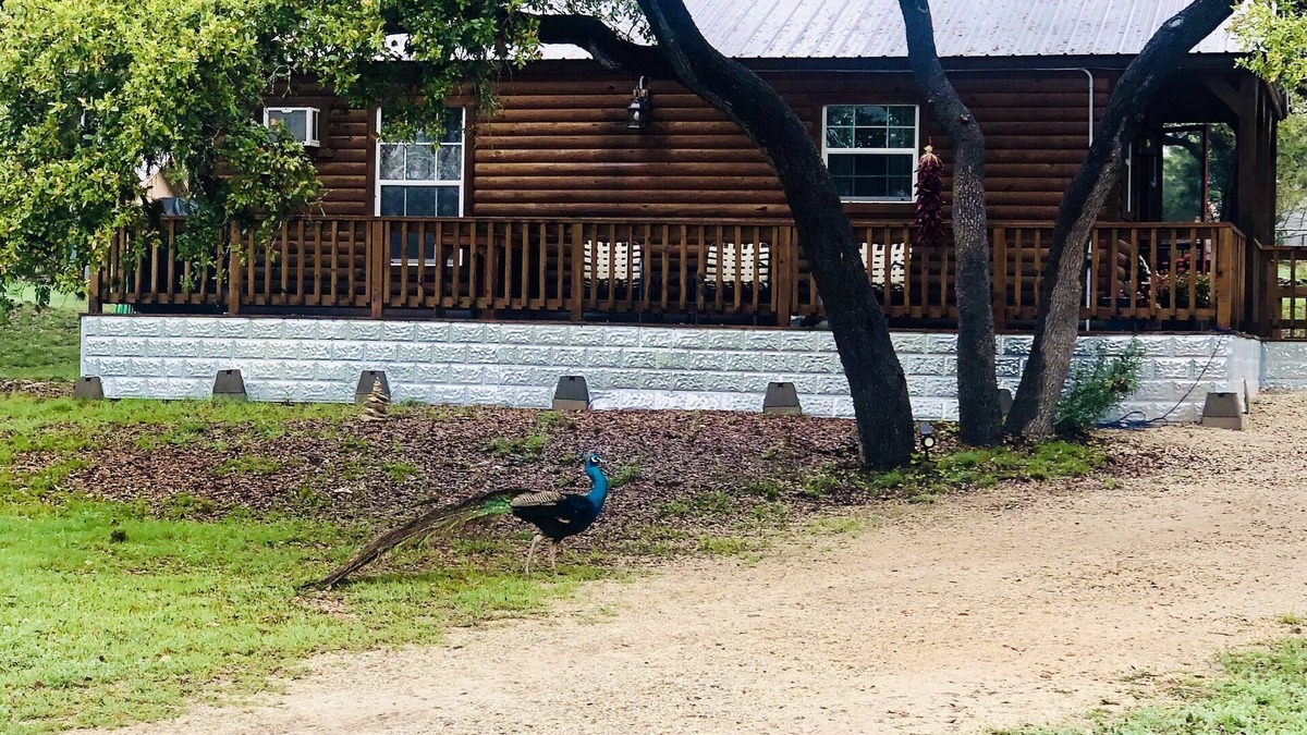 Canyon Lake Cabin | Oak Hollow Cabin at Canyon Lake