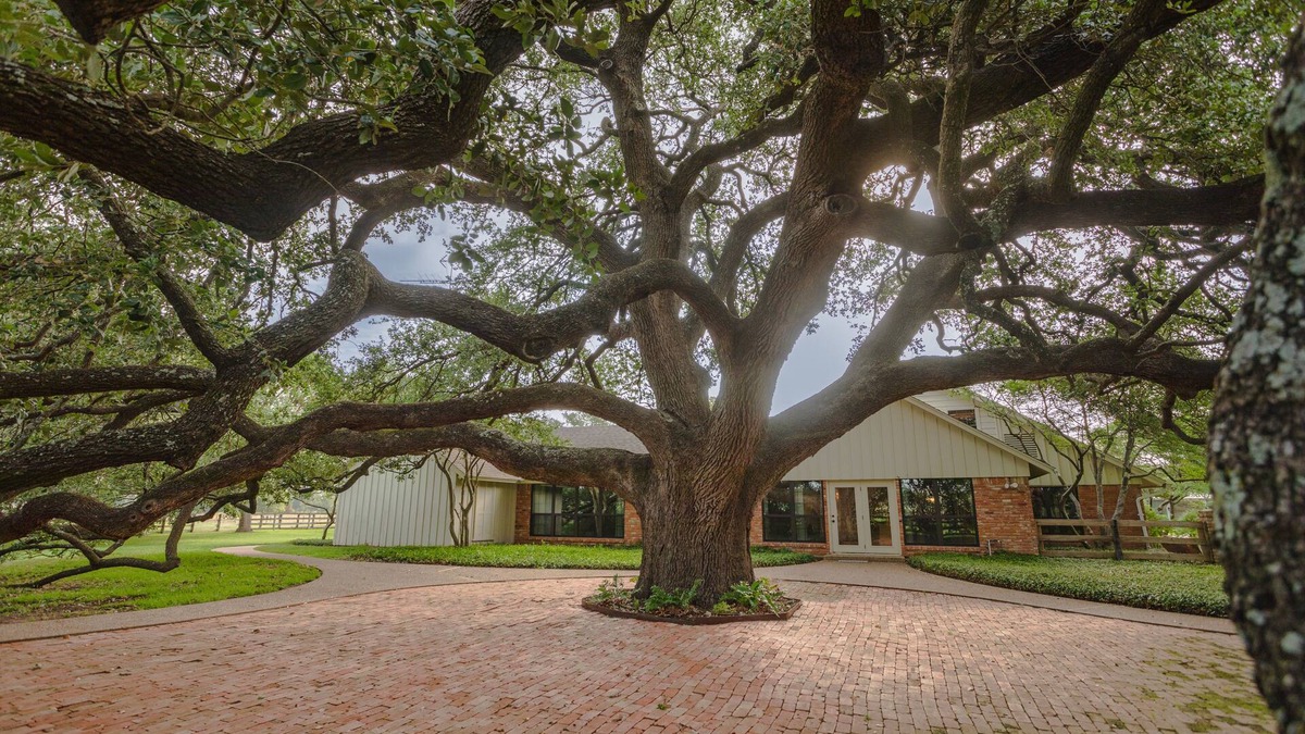 Waco House | Oak Tree Manor w/Pool