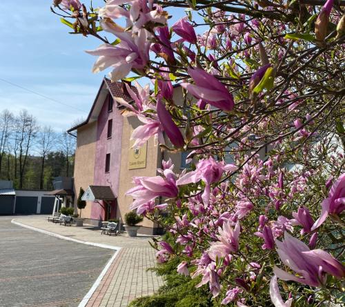 Jastrzebie-Zdroj Apartment | Obiekt "Czarny Rycerz"