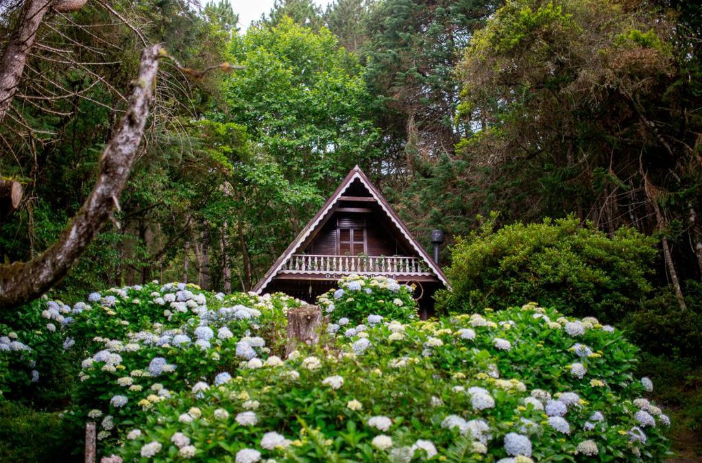 Delfim Moreira Cabin | Oca Chalé