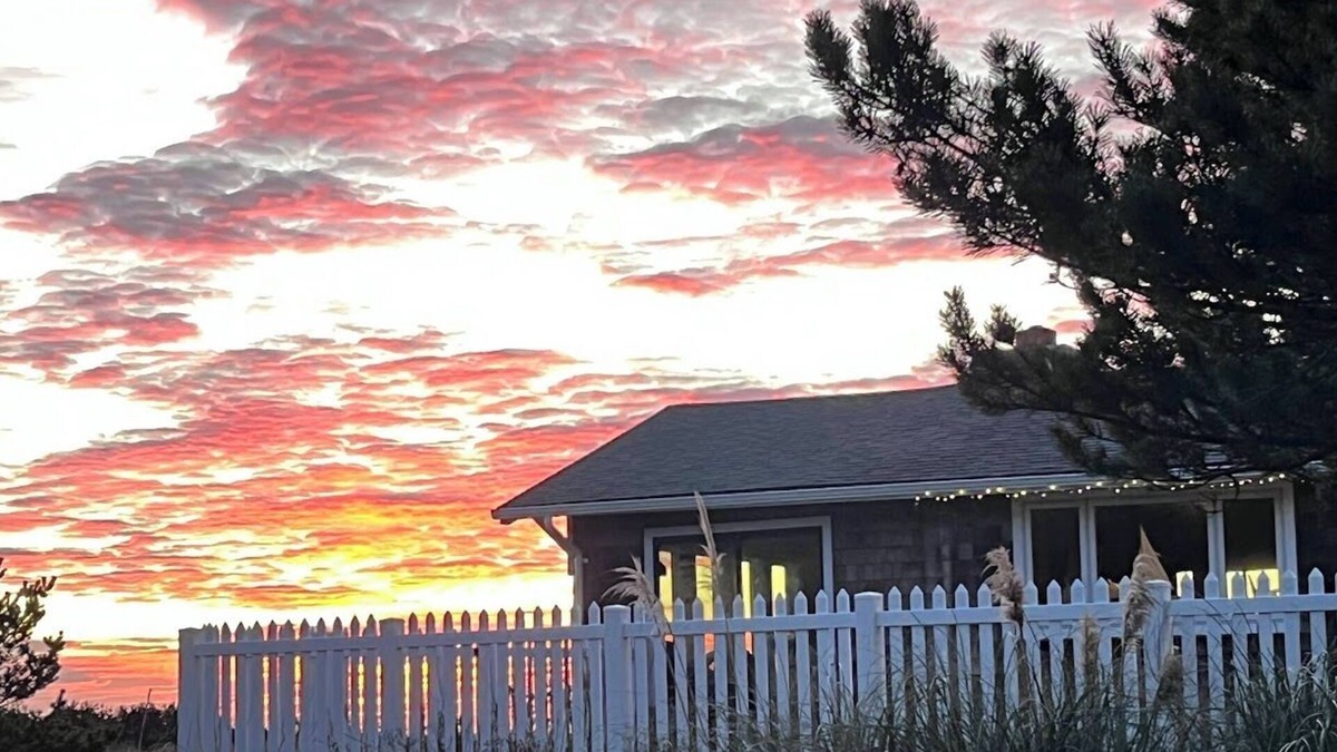 Long Beach Cabin | Ocean-front Cedar Cabin, Horse/Dog friendly, Birdwatcher's paradise!