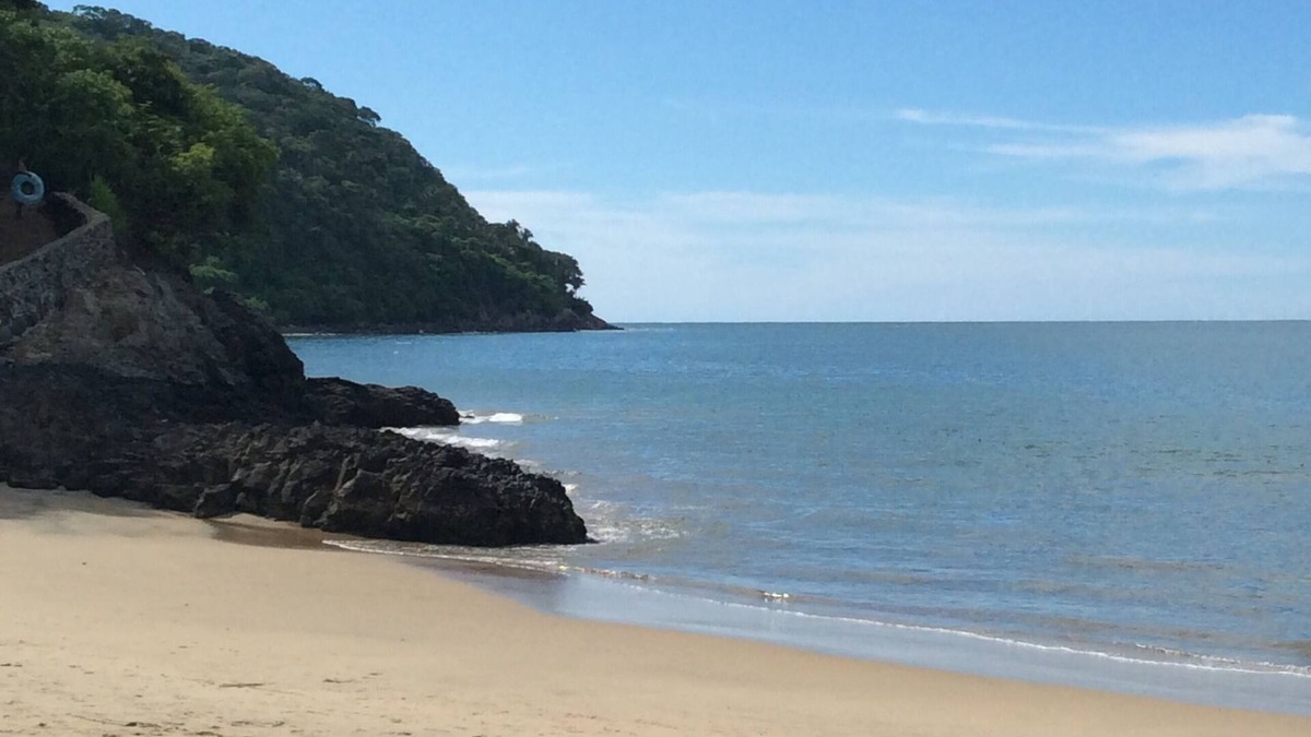 Los Ayala Apartment | Ocean front Rental Property