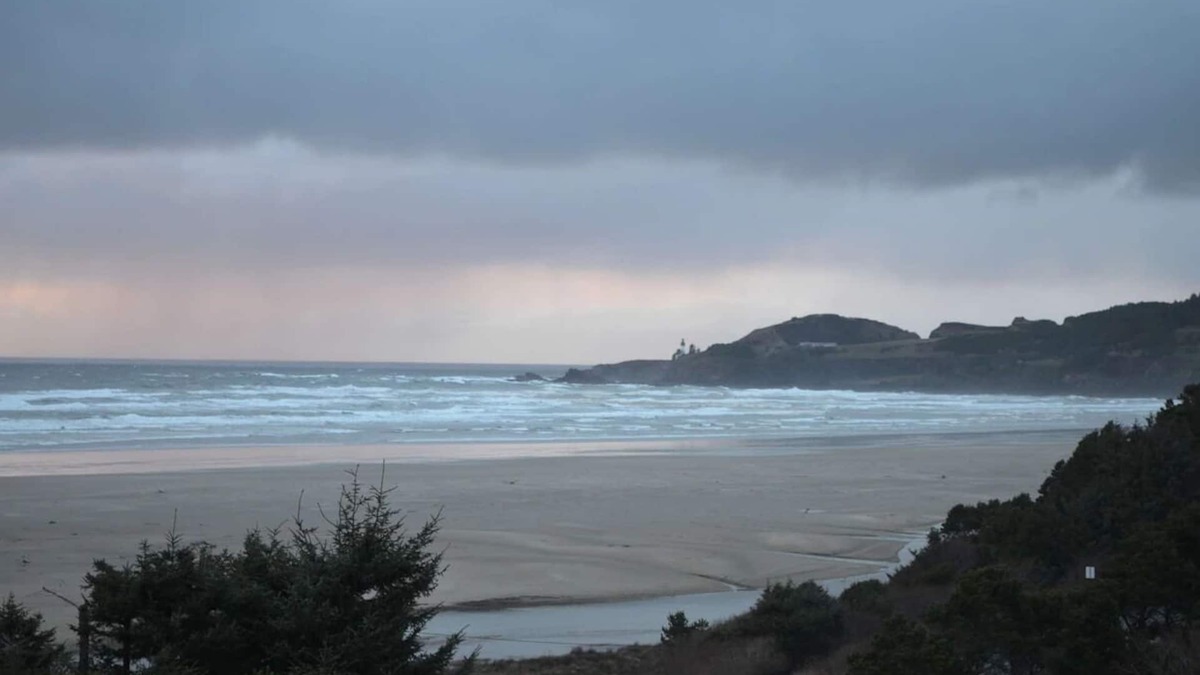Newport Hotel | Ocean View Accommodation, Pet-friendly | Access to North Coast Highway 101