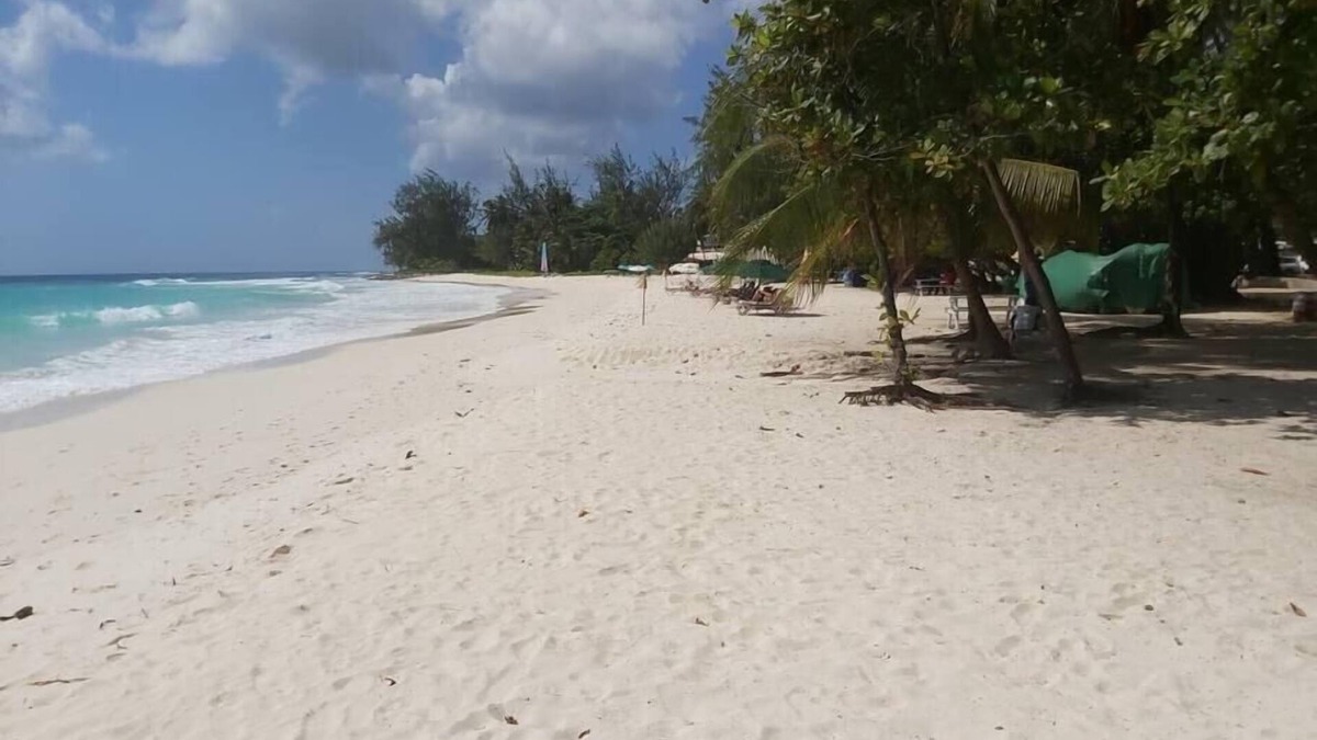 Rockley Apartment | Ocean View Apartment A with AC