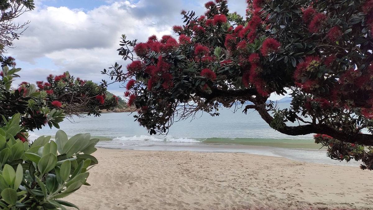 Tutukaka Apartment | Ocean View At Whangaumu Bay.npeaceful Bush and bay Views, Privately Positioned