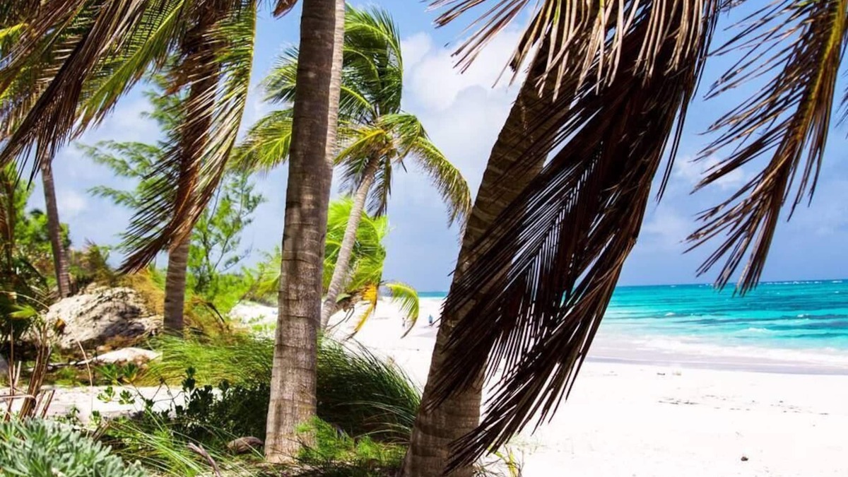 Port Howe House | Ocean View Coral - Private Beach Resort