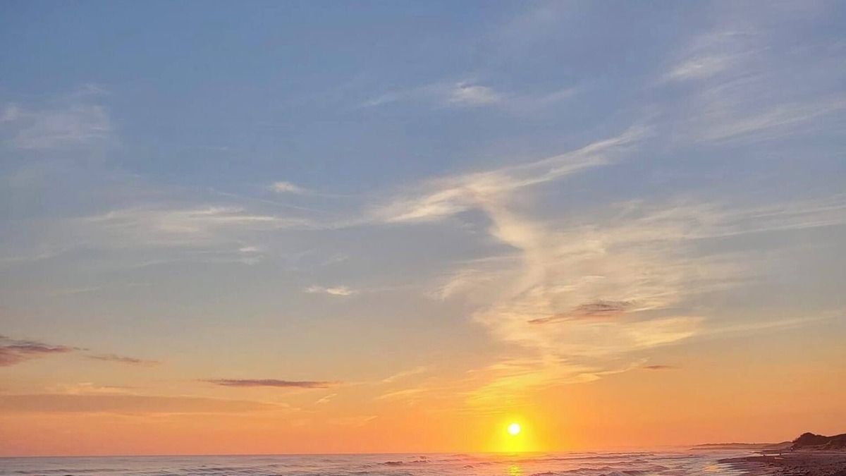 Savage Harbour Cottage | Ocean view cottage, steps from beautiful north shore beach.