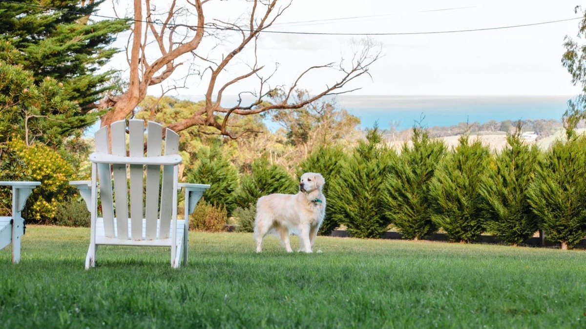 Red Hill South House | Ocean View House - Solar Heated Pool and Pet Friendly