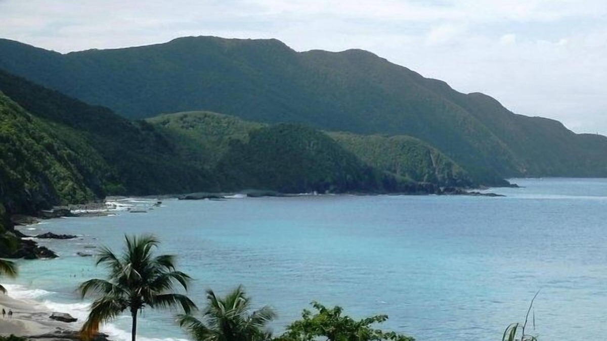 Estate Work and Rest Apartment | Ocean View House on Hill in Sunny Caribbean