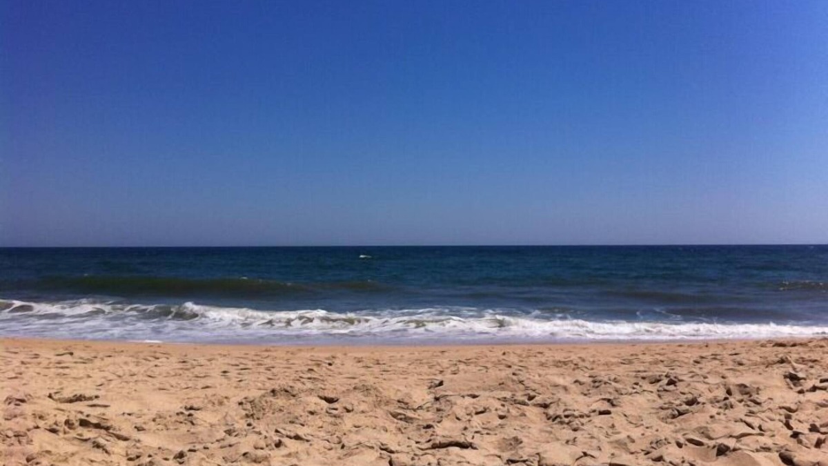 Montauk Cottage | Ocean View Modern Cottage —Walk to Town, Beach Pass Included.