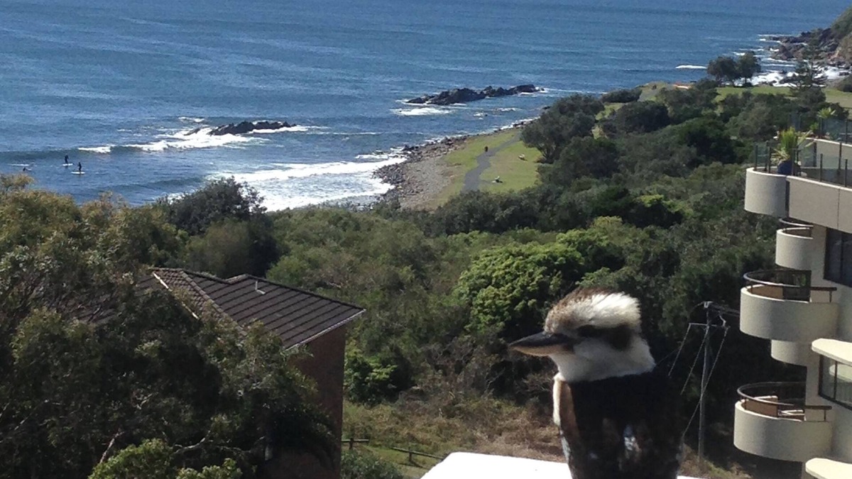 Forster Apartment | Ocean View Penthouse