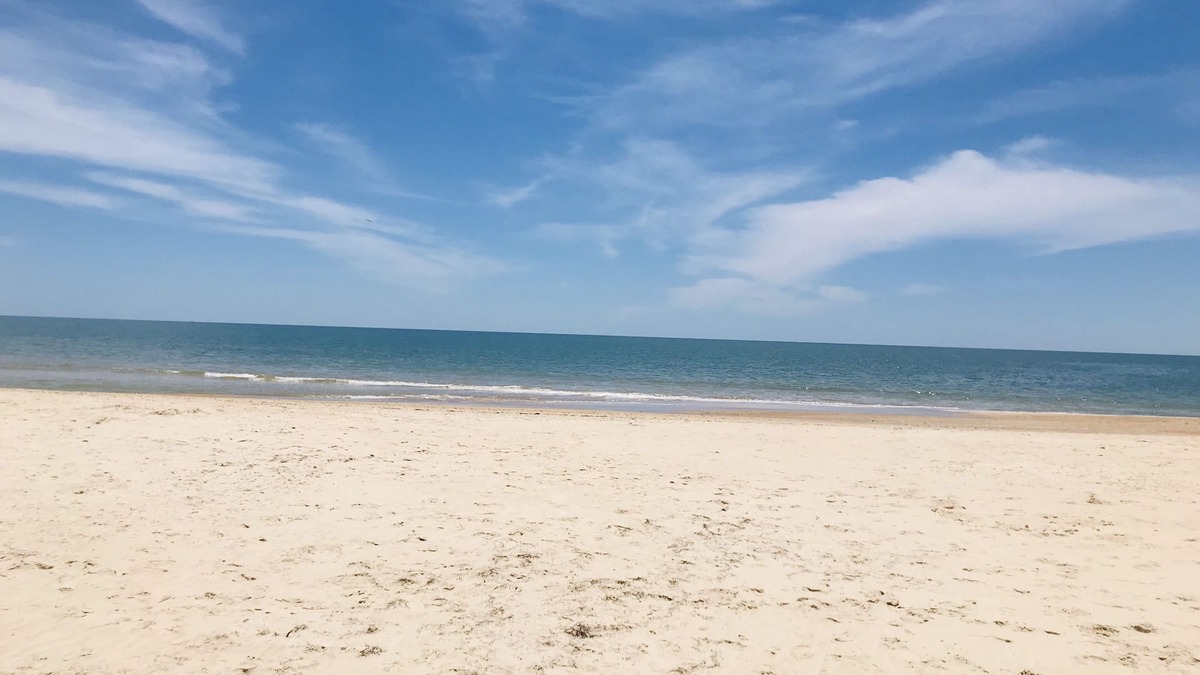 East End Condo | Ocean Views! 75' from Gulf Of Mexico! Large deck for Family Relaxing