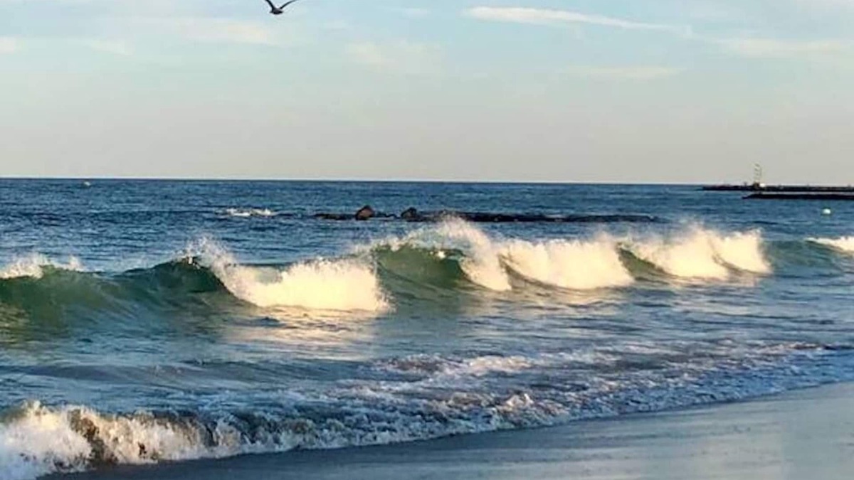 Avon by the Sea Condo | Ocean Views from every window!