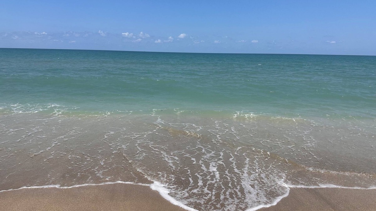Stuart Apartment | OCEAN VIEWS! OCEAN VIEWS!- BREATHTAKING DIRECT BEACHFRONT CONDO 2/2