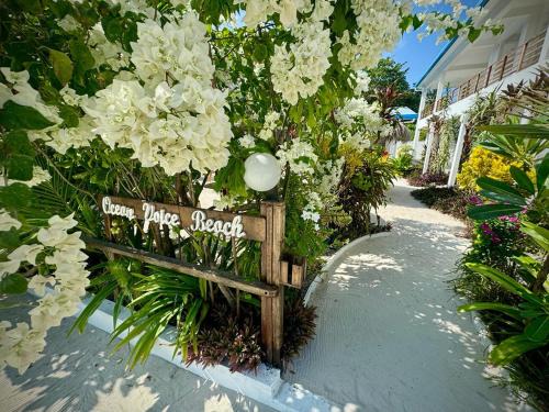 Nolhivaranfaru House | Ocean Voice Beach Resort & Diving