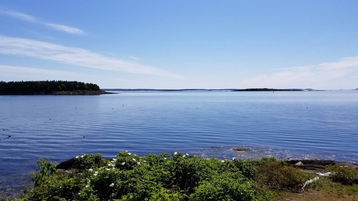 Mid-Coast and Islands Cottage | Ocean Watch - Relax and let the ocean sweep you away at this charming retreat