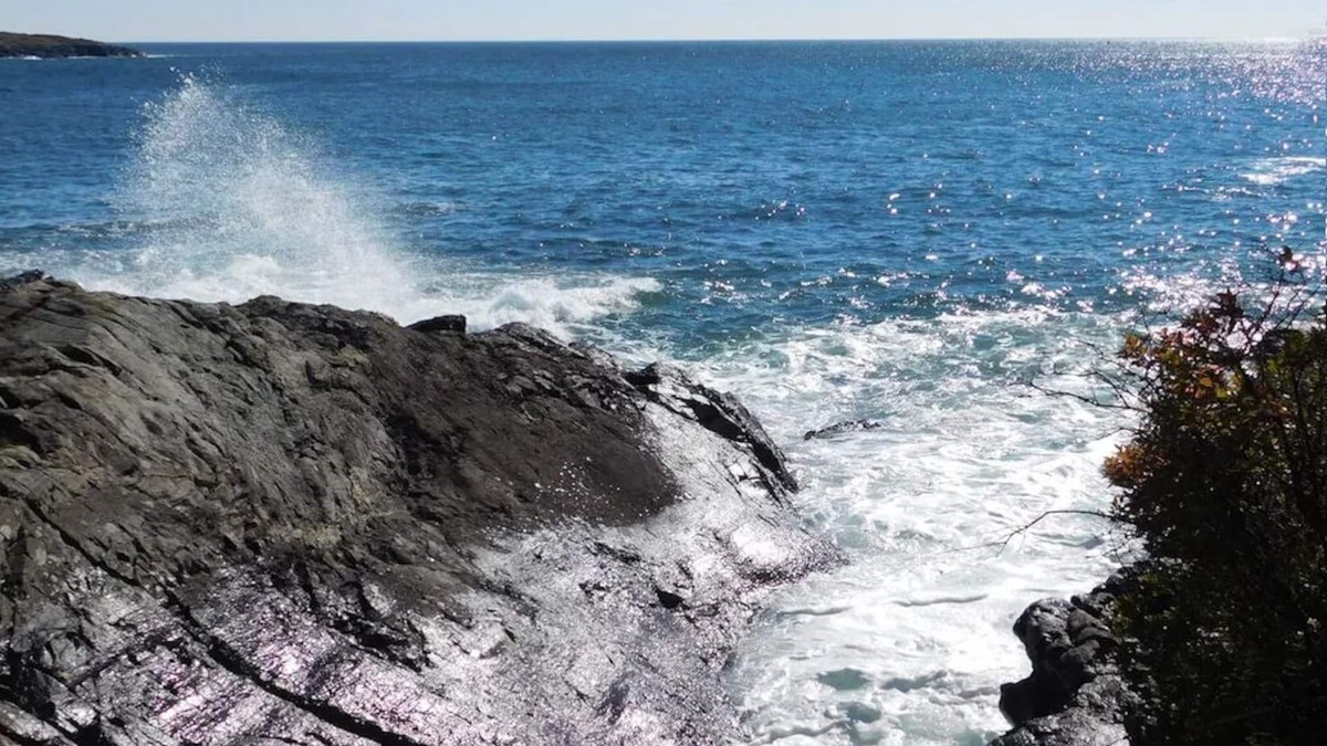 Bar Harbor House | Oceanfront Bar Harbor Family Retreat, 75 ft From the Water and 5 Minutes to Town
