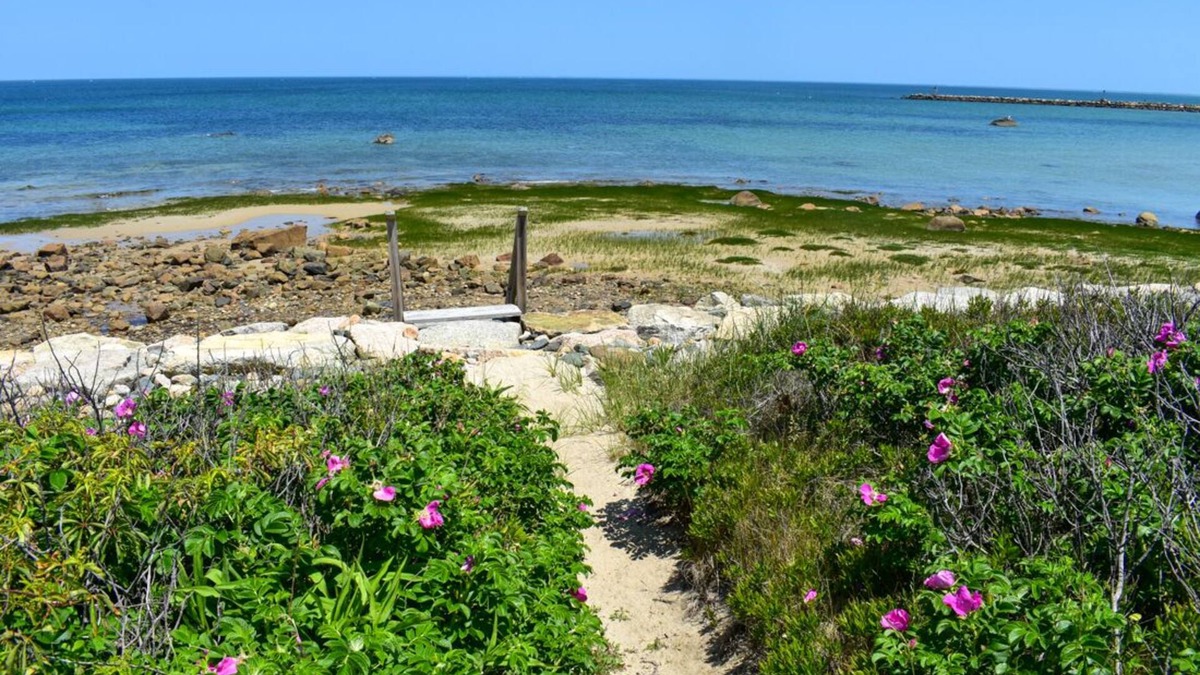 East Dennis House | Oceanfront Bayside home with private beach!