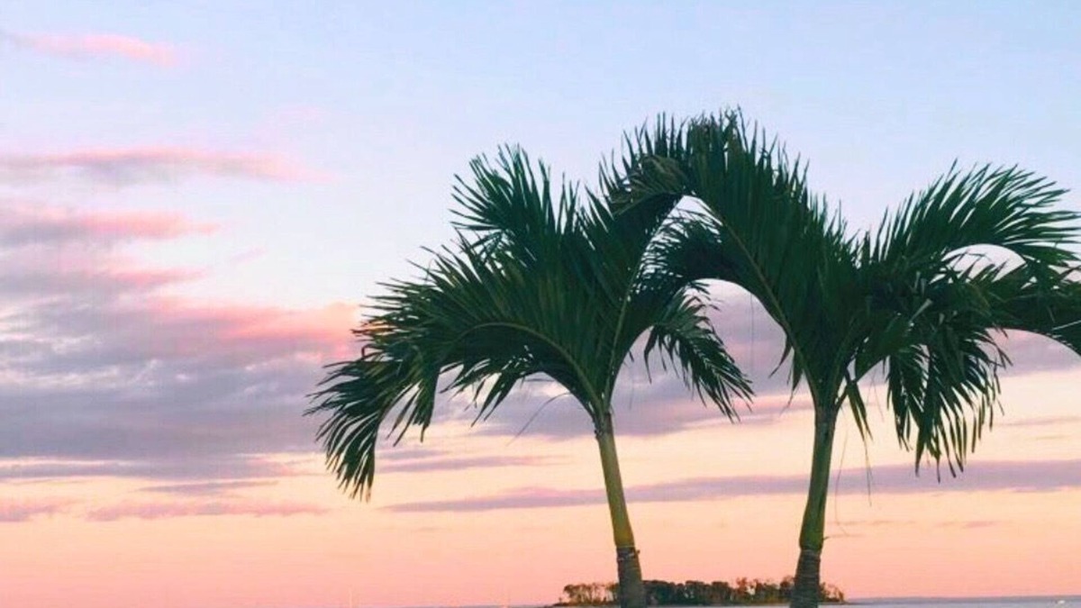 Milford House | Oceanfront Escape, Private Sandy Beach Getaway