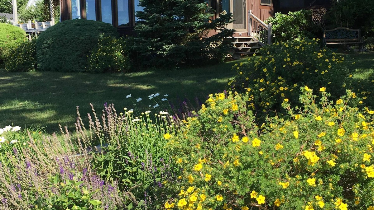 Lamoine House | Oceanfront getaway close to Acadia Nat'l Pk - 1 mi to boat launch