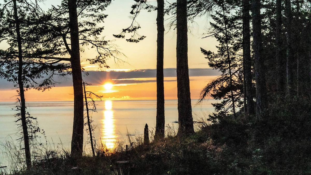Galiano Cabin | Oceanfront Oasis, beautiful/modern/monthly rental. (Sorry, absolutely no pets.)