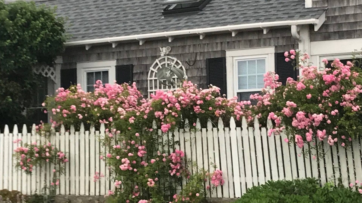 Fairhaven Cottage | Oceanfront on Buzzards Bay