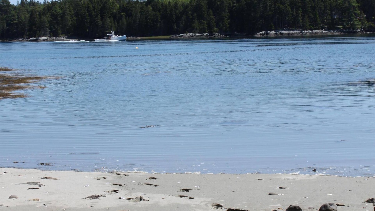 Lamoine House | Oceanfront Private Beach! Family friendly, Multi-Generational House by Acadia!
