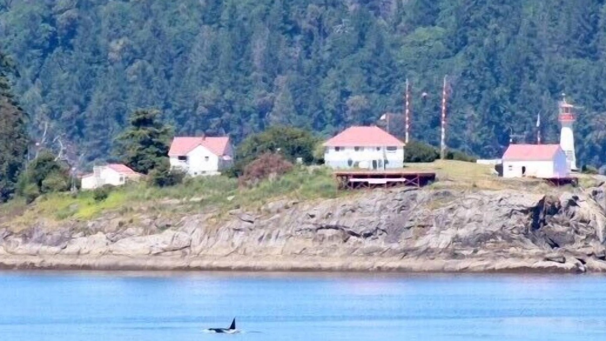 Regional District of Nanaimo House | Oceanfront*Relax with the Eagles*Dog Friendly