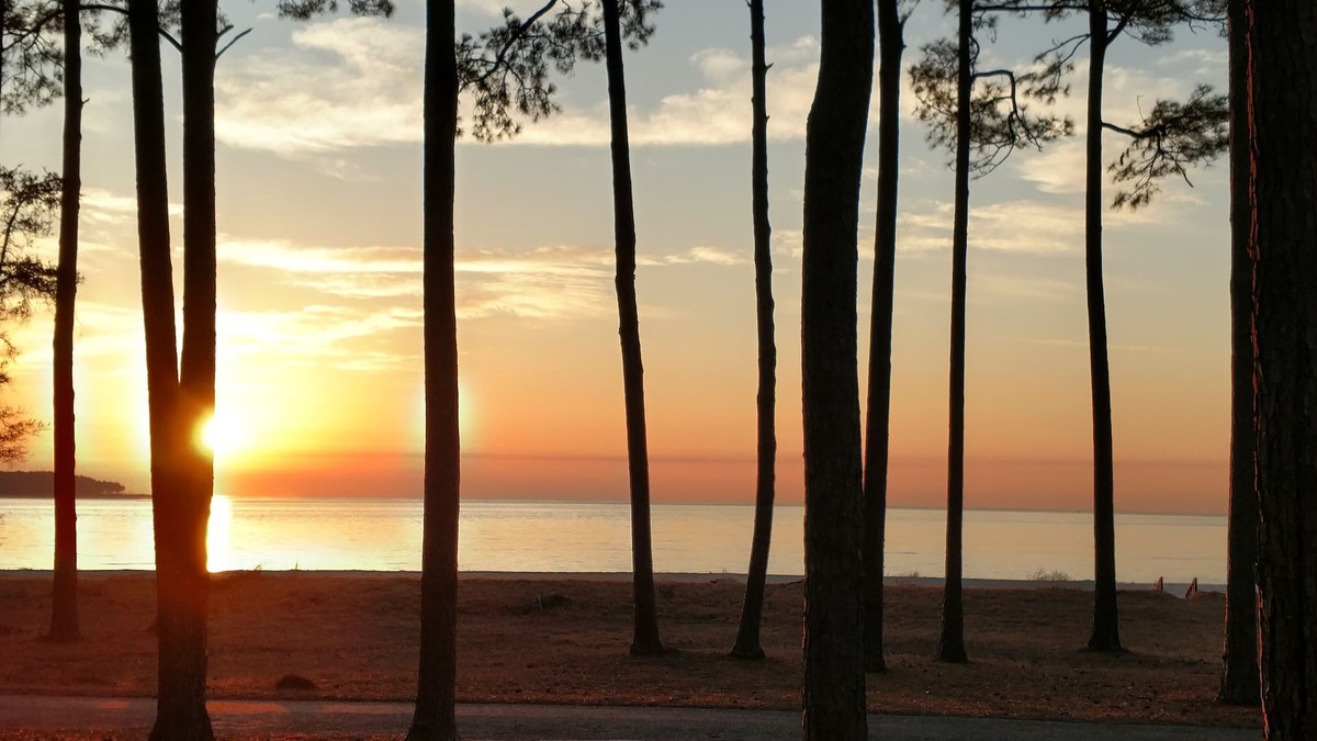 Melrose on the Beach Cottage | OCEANFRONT with Golf cart & Amenity Access