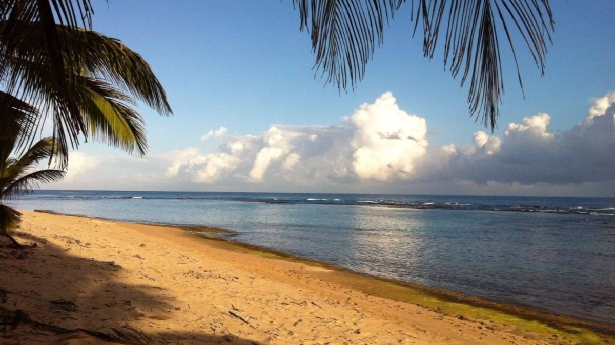 Bajura House | 🌴OCEANSIDE HOME! Choose 2,3 or 5 bedroom home,VERY Private SHACKS BEACH here