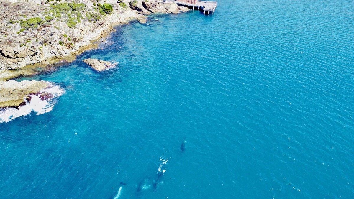 Tathra House | oceanspray holiday house