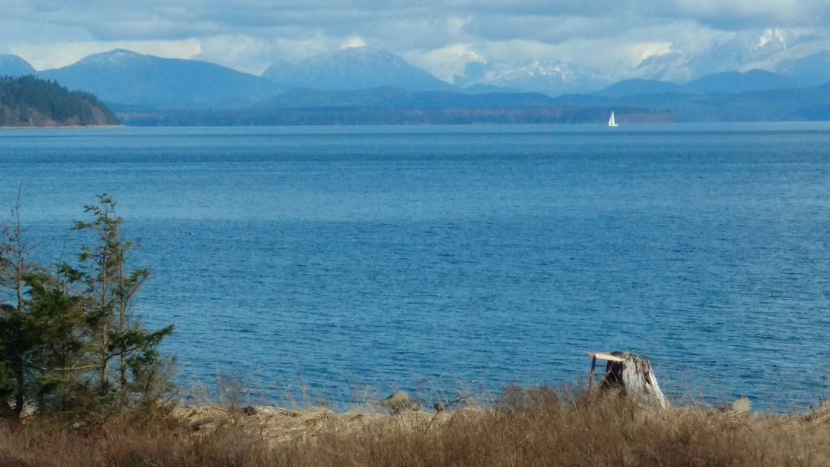 Campbell River House | Oceanview Suite, private patio and entrance - right across from the beach!