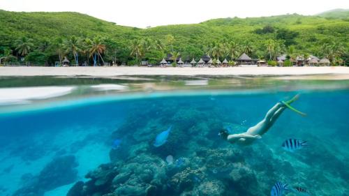Nalauwaki Resort | Octopus Resort