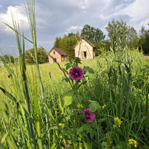 Szypliszki House | Odpocznij u Ani