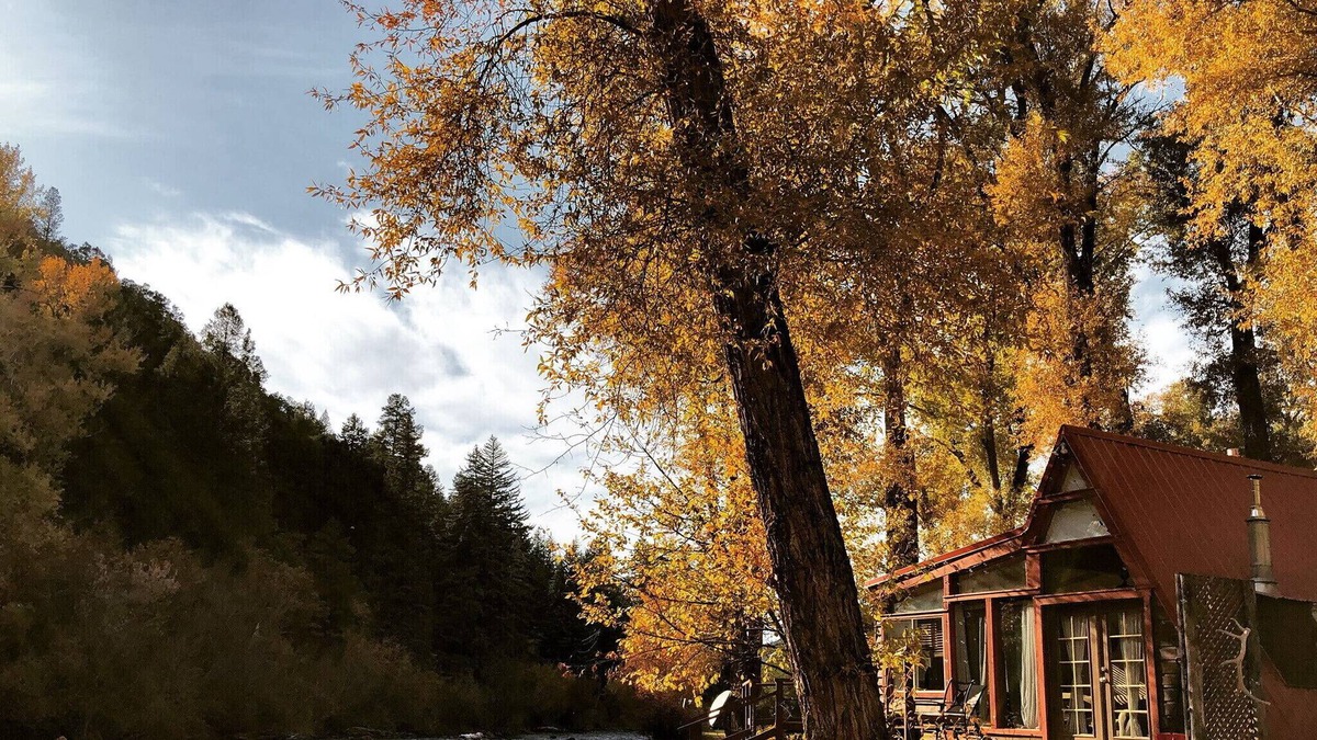 Basalt Cabin | ❤️of the Frying Pan River I Aframe w/ private fishing access