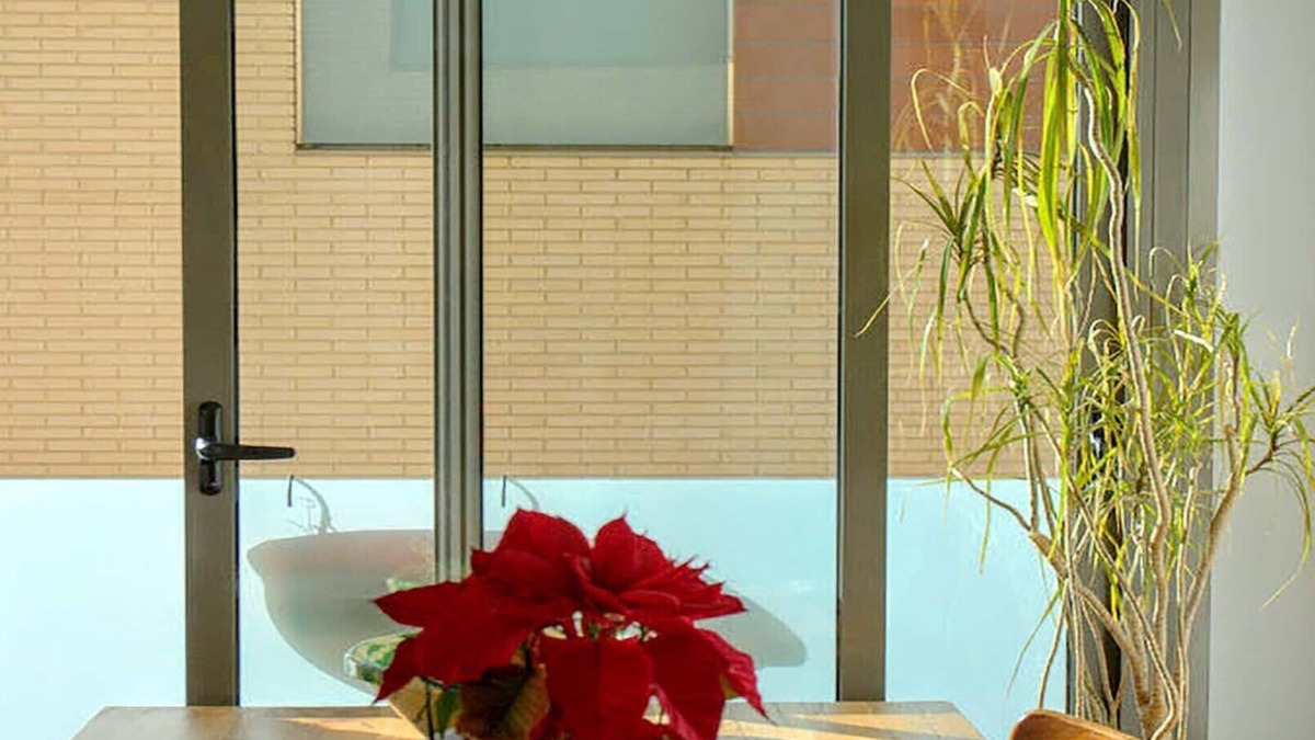 Arenys de Mar Apartment | OFERTAS - FANTASTICO APARTAMENTO AL LADO DEL MAR, 35 MINUTOS FROM BARCELONA