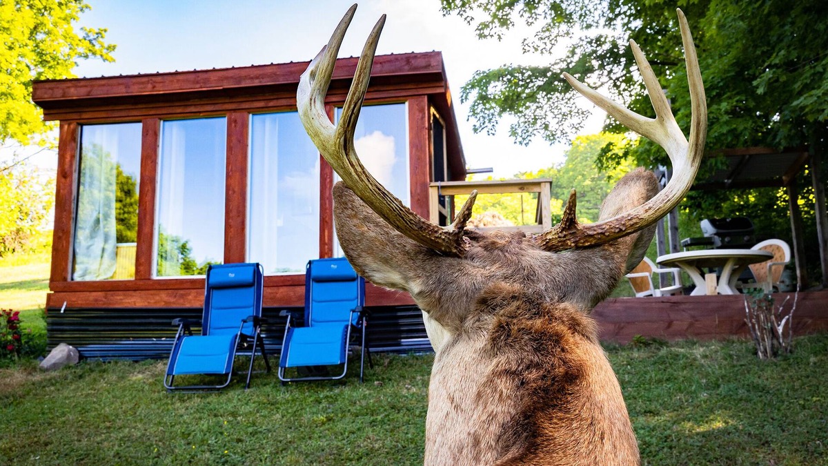 Town of Broome Cabin | Off-Grid, Buck Tiny House with Indoor Soaking Tub & Mountain Top Views