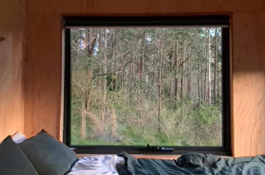 Main Creek House | Off-Grid Cabin Deep in Nature - Pet Friendly - Barney