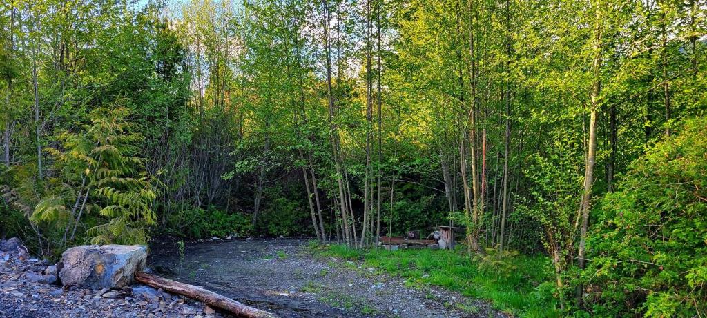 Ucluelet Other | Off grid camping